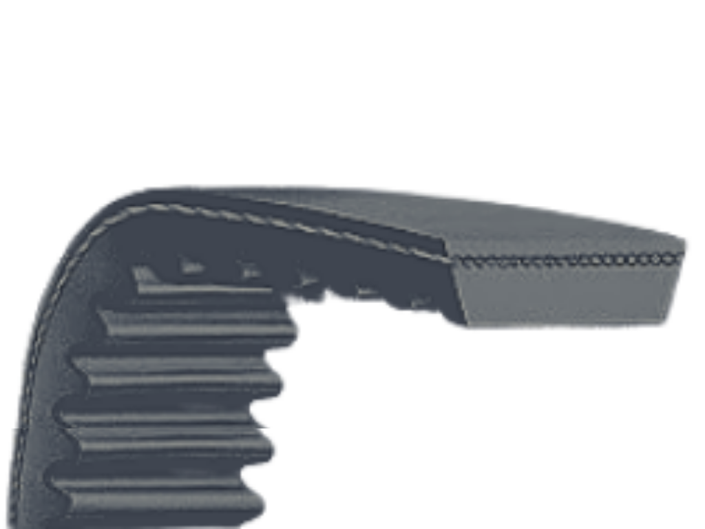 Cinghie Variatore