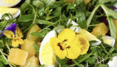 (2oz) Pansies Microgreens