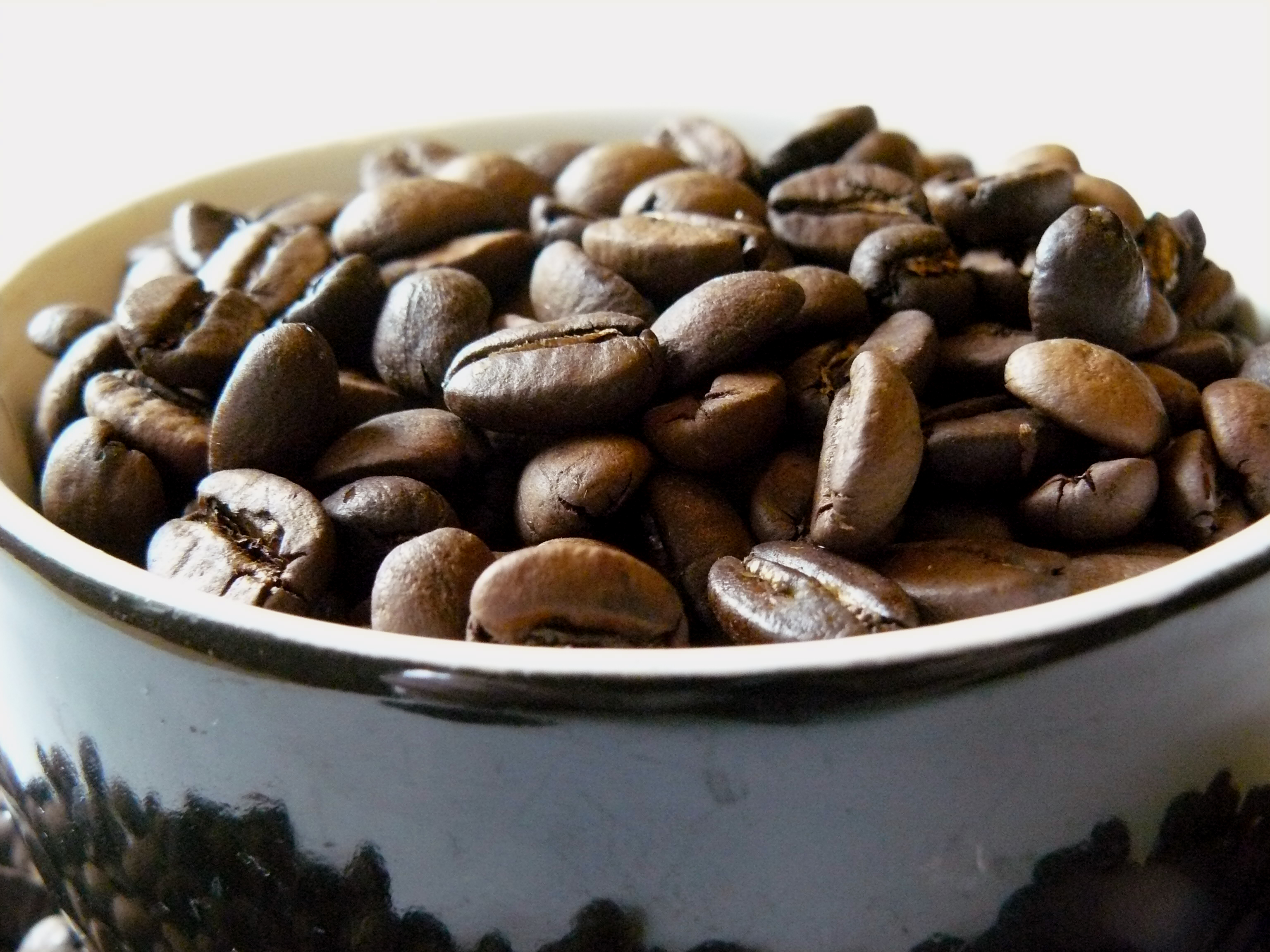 Voyage Coffee Roasters header