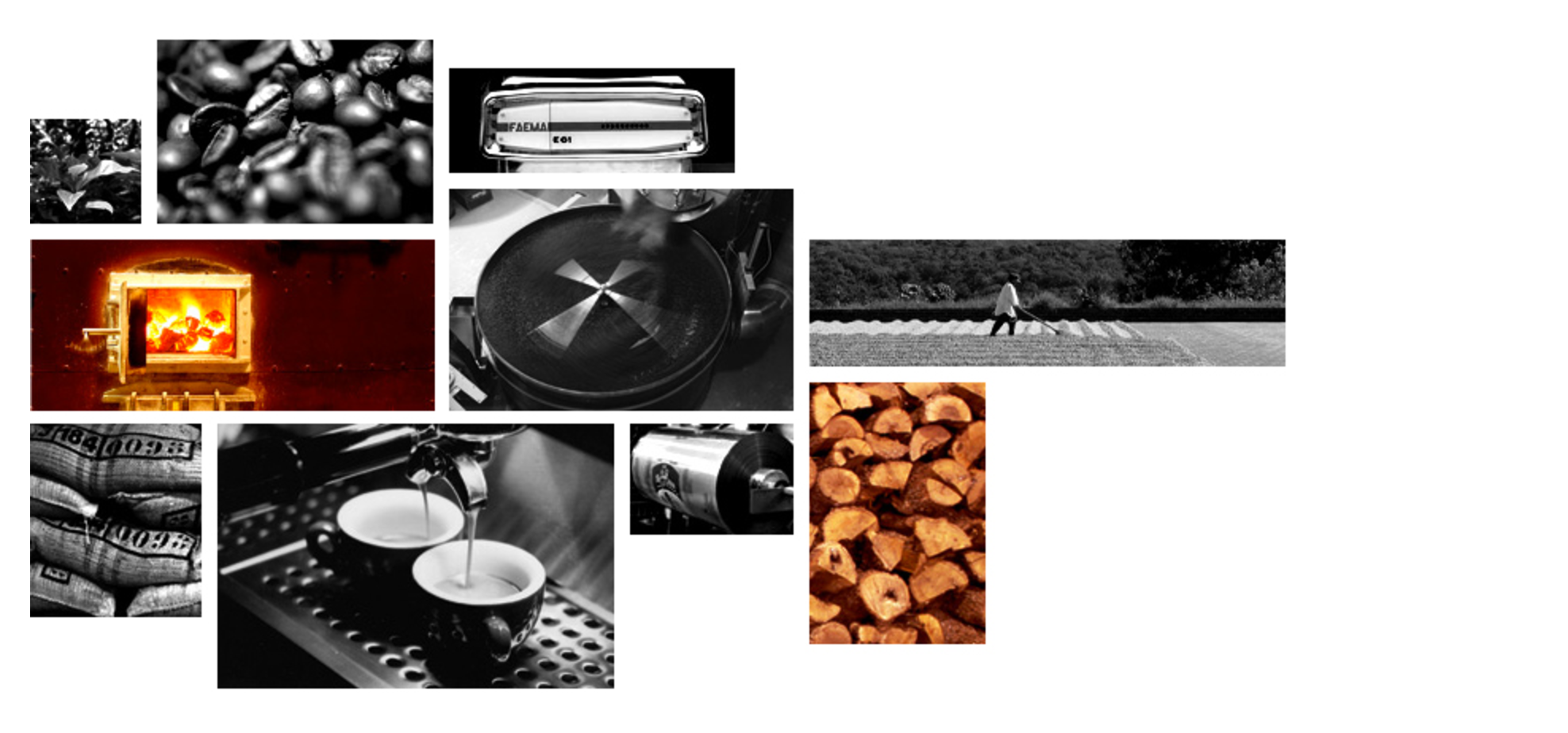 Vickie Maloney header