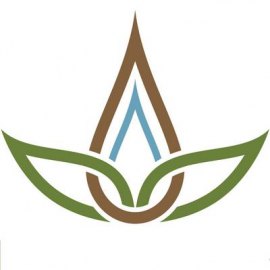 Steep Fuze logo