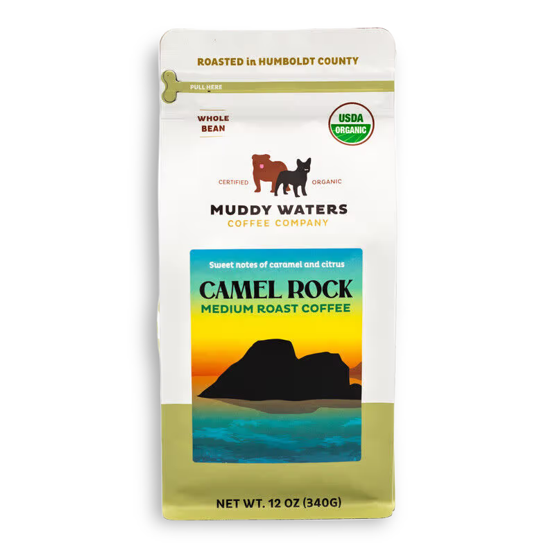 CAMEL ROCK