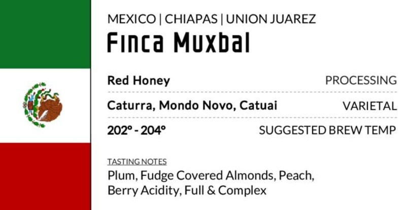 Mexico – Finca Muxbal