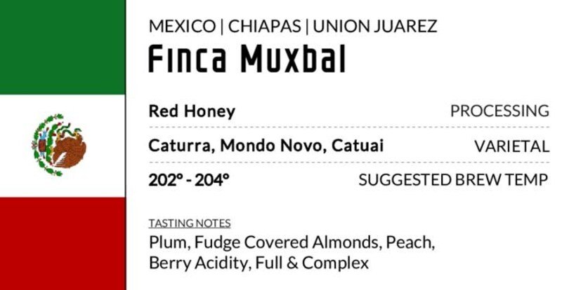 Mexico – Finca Muxbal