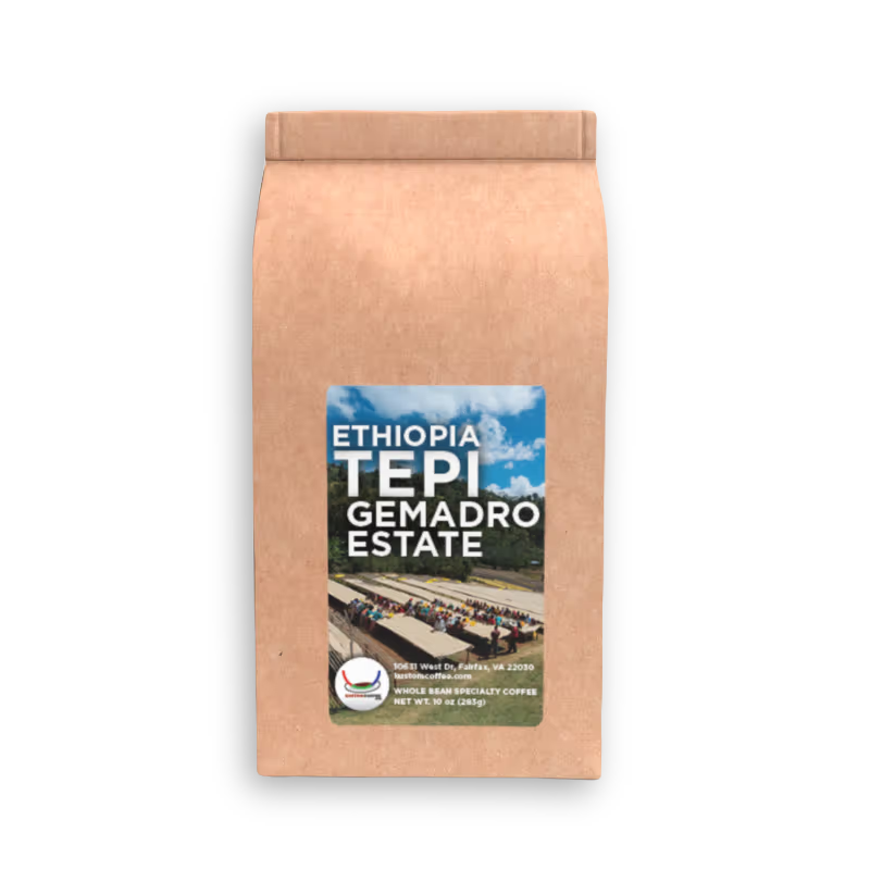 Ethiopia Tepi RFA Natural: Gemadro Estate