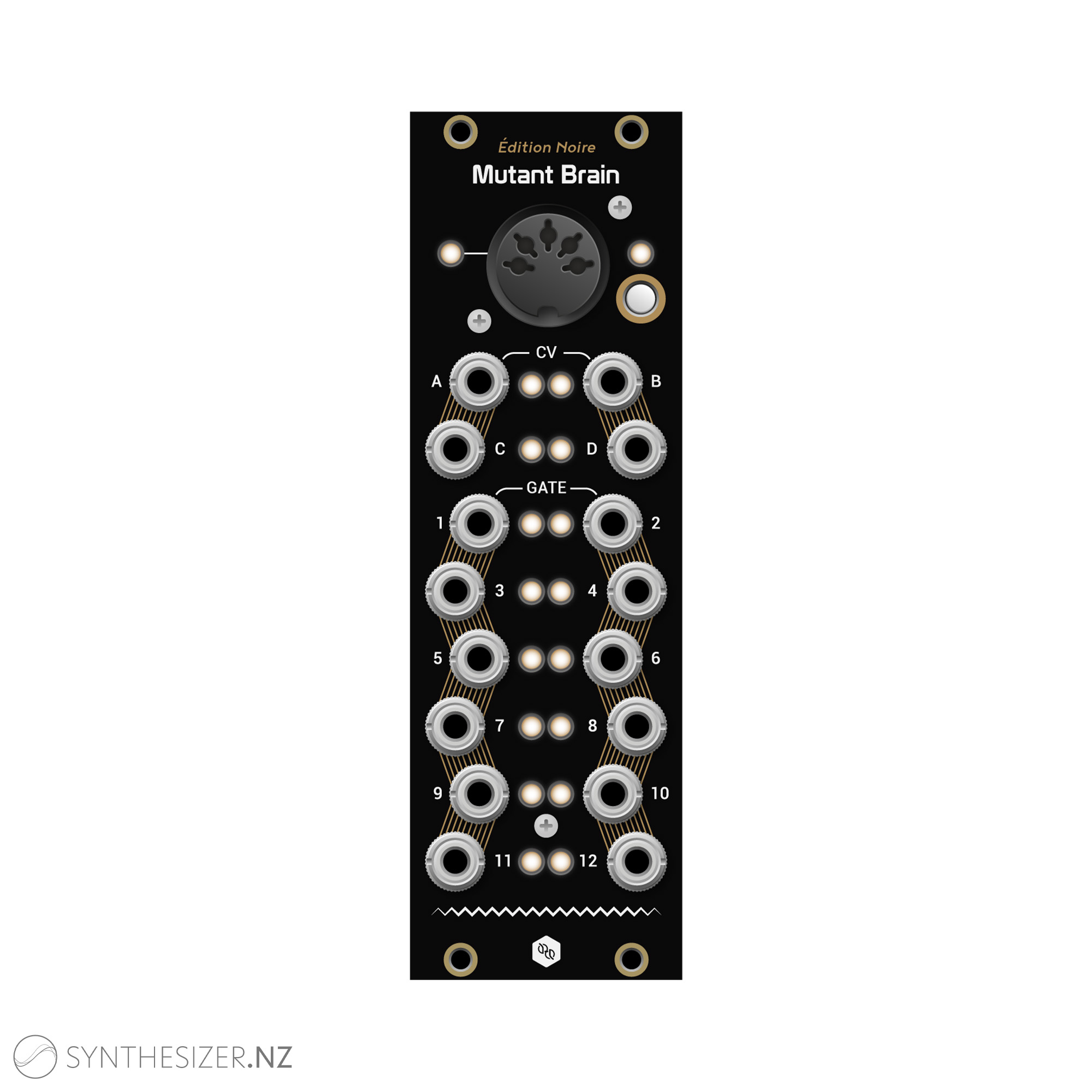 Hexinverter Mutant Brain - Synthesizer New Zealand