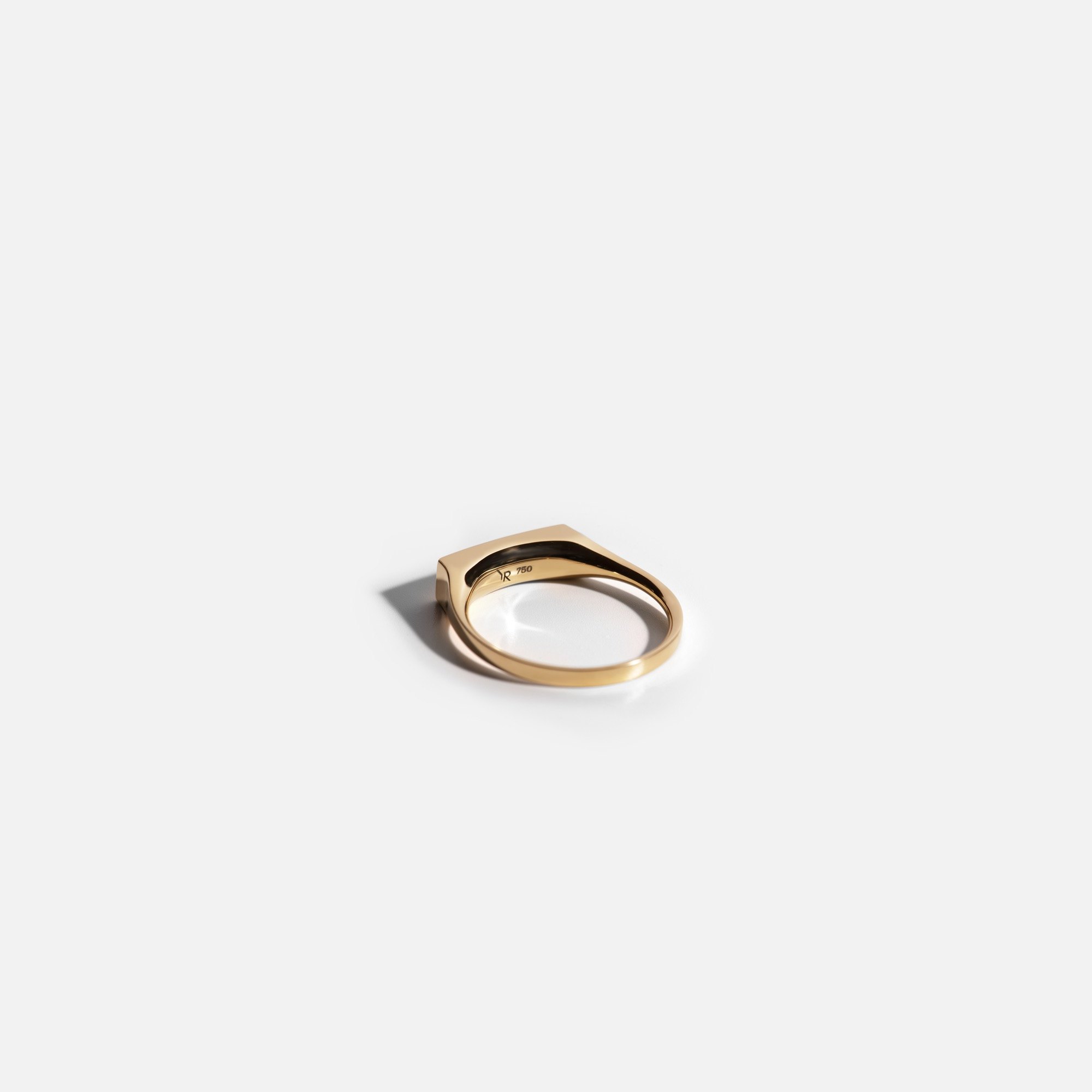 18k Recycled Gold Ring with your Secret Message in Light